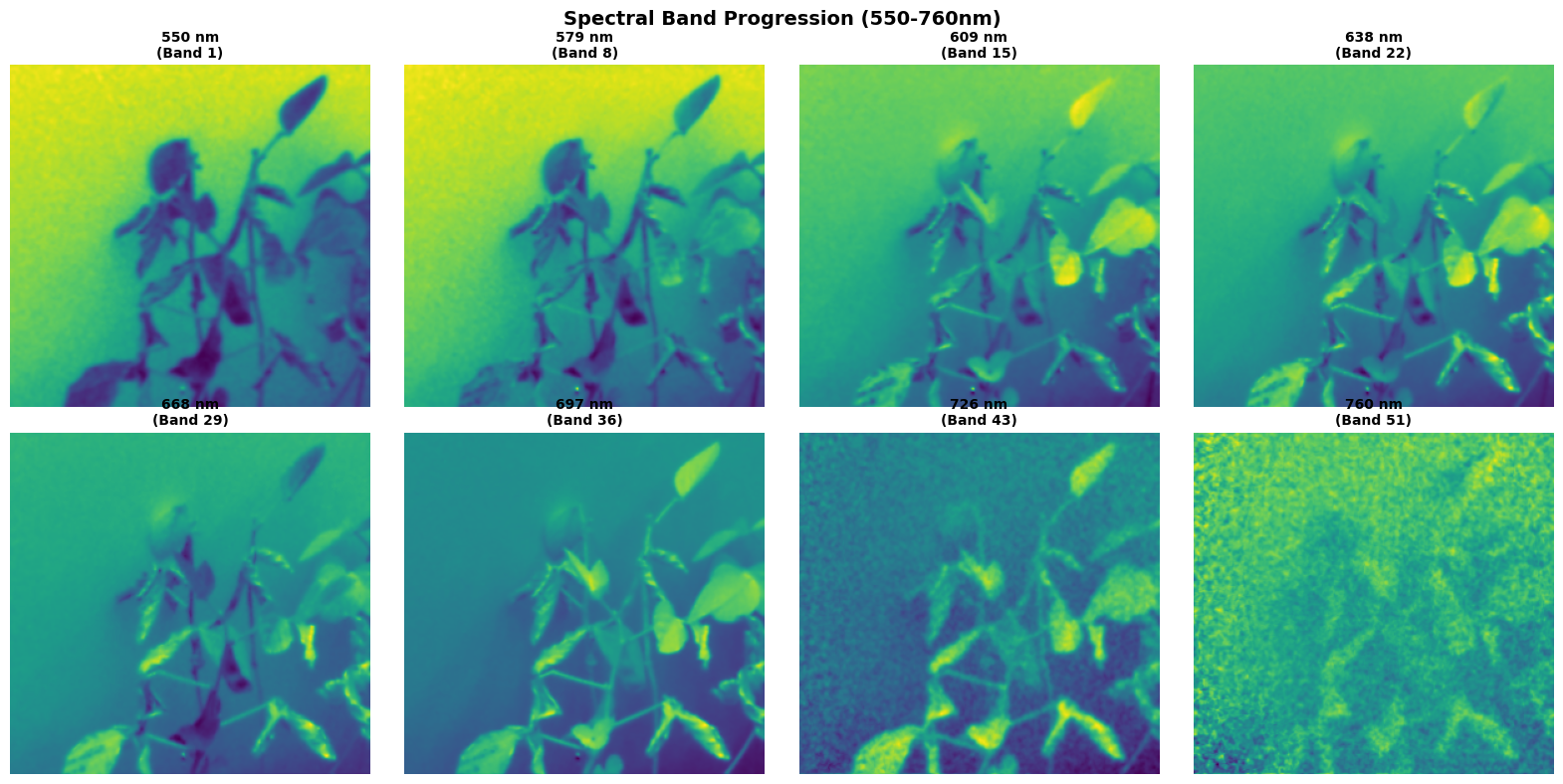 Hyperspectral spectral band progression