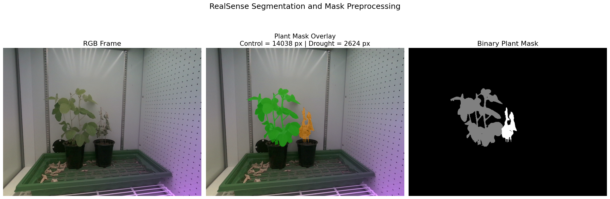 RealSense plant segmentation output example